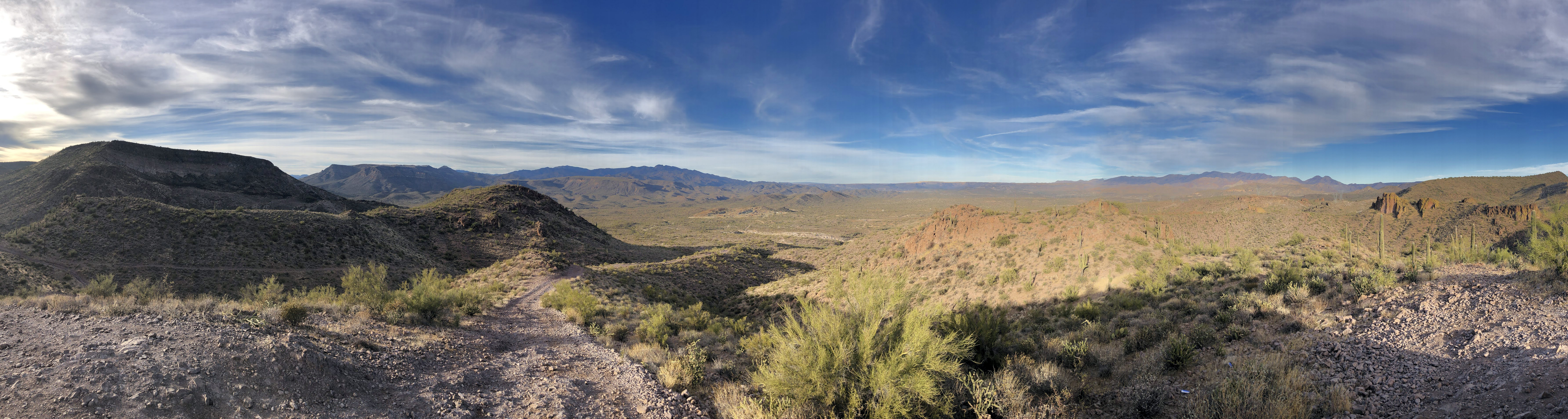 Image of desert scene